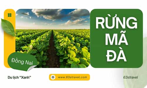 Rừng Mã Đà: Trải Nghiệm Sinh Thái Đầy Sắc Màu
