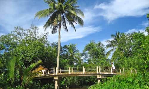 Du lịch Bến Tre: Khám phá nét đẹp dân tộc và văn hóa ven sông