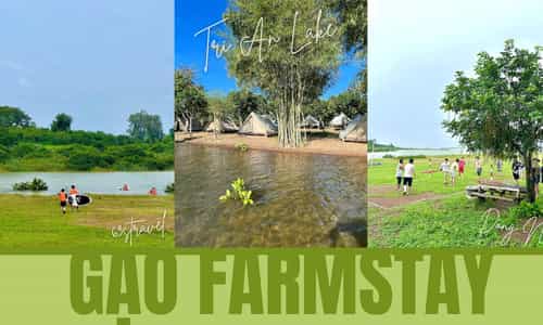 "Gạo Farmstay" Bên Hồ Trị An : Trạm Dừng Chân Yên Bình Cho Kỳ Nghỉ Ngắn Ngày