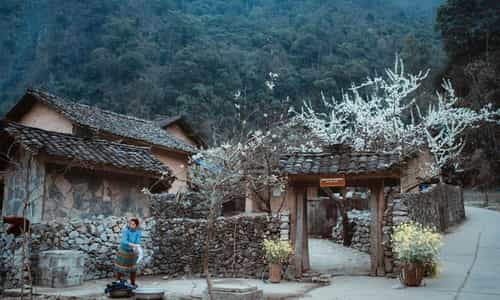 Escape to Tranquility: The Enchanting Allure of Nha cua Pao