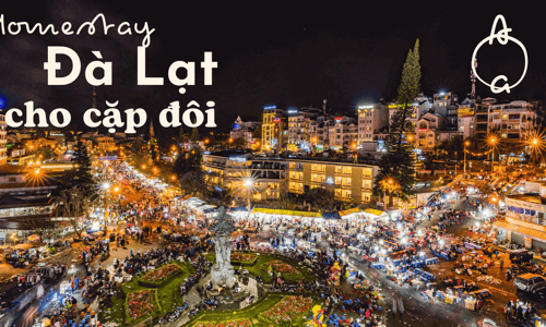 Top 10 Homestay Đà Lạt Lãng Mạn Gía Rẻ Cho Kỳ Nghỉ Cặp Đôi Hoàn Hảo