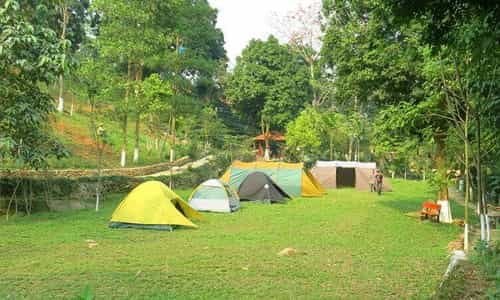 Son Tinh Camp 2 - an ideal destination for a "hot" resort in 2024.