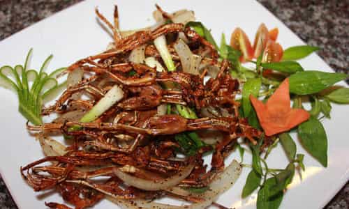 Vũ Nữ Chân Dài: Món khô đặc sản độc đáo nức tiếng xử miền Tây