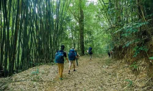 Trekking Bù Gia Mập: Trải Nghiệm Độc Đáo Giữa Rừng Núi Hùng Vĩ