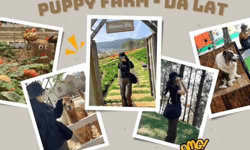 PUPPY FARM - DA LAT