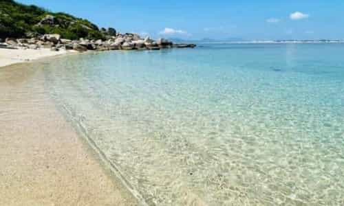 Admire the wild beauty of Bai Mon Phu Yen in the land of golden flowers and green grass.