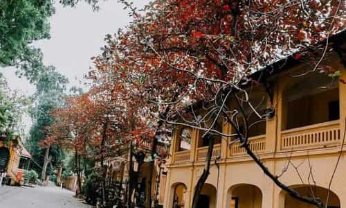 Một sáng thu Hải Phòng