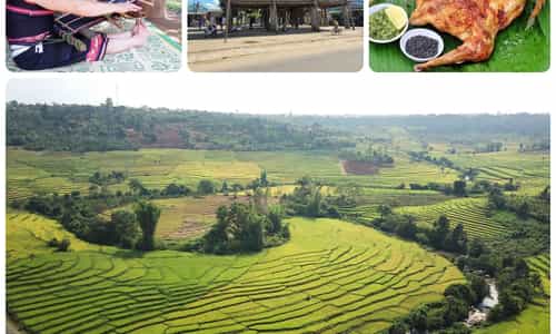 KHUNG CẢNH YÊN BÌNH VÀ ĐỜI SỐNG MỘC MẠC Ở VÙNG QUÊ GIA LAI