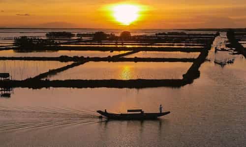 Ngắm Hoàng Hôn Trên Phá Tam Giang: Một Trải Nghiệm Không Thể Quên