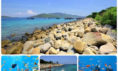 VẺ ĐẸP VÀ HỆ SINH THÁI PHONG PHÚ TẠI ĐẢO HÒN MUN