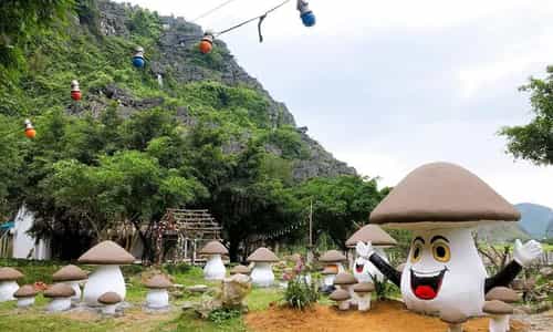 Chiêm Ngưỡng Vườn Xương Rồng và Thác Nước Huyền Ảo dưới chân Hang Múa