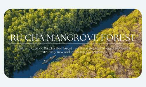 About Ru Cha Mangrove Forest, Walking Among The Green Lungs In The Heart Of Hue