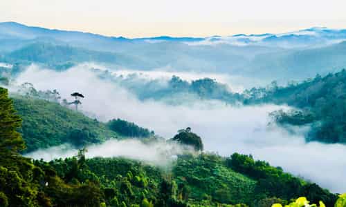Discover the Enchanting Beauty of Mang Den: Vietnam's Pristine Highland Oasis