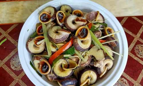Thưởng Thức Ốc Núi Ninh Bình – Món Ăn Giản Dị, Vị Thì Khó Quên