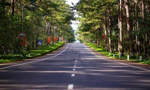 Trải Nghiệm cung đường đẹp nhất khi đến Măng Đen