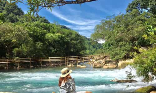 Bức Tranh Thiên Nhiên Tuyệt Mỹ: Suối Moọc - Điểm Đến Không Thể Bỏ Qua Ở Quảng Bình