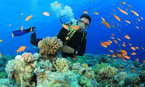 Thiên Đường Biển Của Quy Nhơn Kỳ Co - Eo Gió