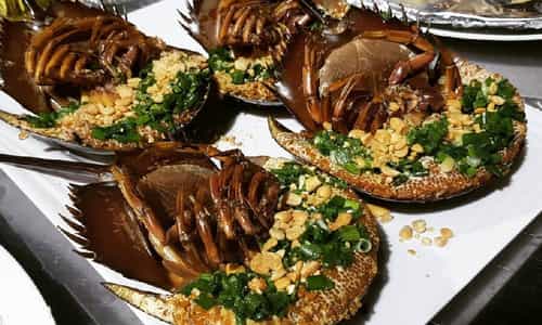 Sam biển Hạ Long: Tinh hoa ẩm thực vùng biển Quảng Ninh
