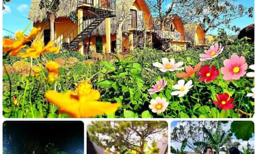 HOMESTAY BIỂN HỒ - NƠI LƯU TRÚ ĐÁNG TRẢI NGHIỆM TẠI PLEIKU
