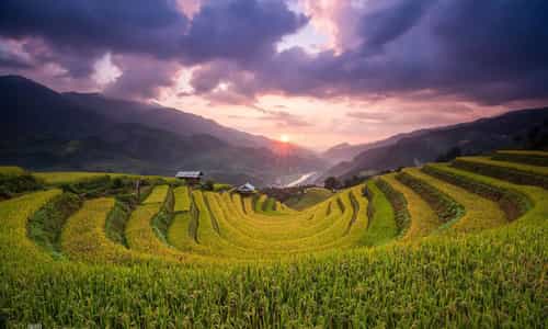 Mù Cang Chải - Kiệt tác ruộng bậc thang