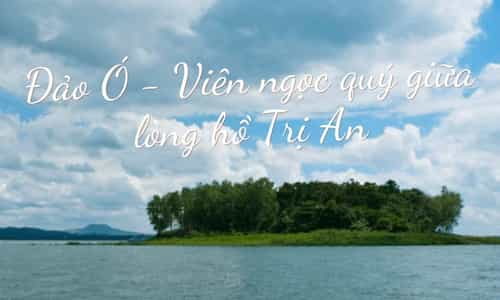 Đảo Ó - Đồng Nai: Trải Nghiệm Thú Vị Tại Thiên Đường Giữa Lòng Hồ Trị An