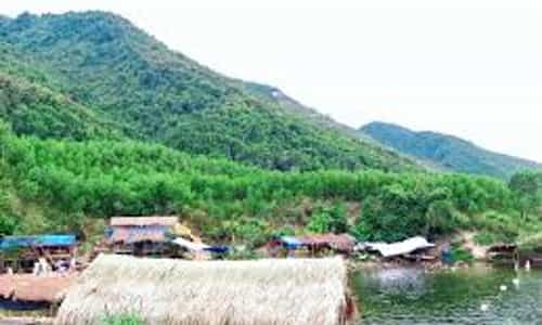 Suối Hầm Heo: Hành Trình Hòa Mình Vào Thiên Nhiên Hoang Sơ