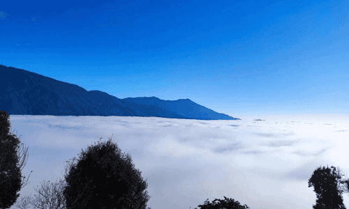 ĐẮM MÌNH GIỮA BIỂN MÂY NƠI ĐỈNH GIÓ TÀ XÙA THƠ MỘNG - CHUYẾN ĐI CỦA THANH XUÂN