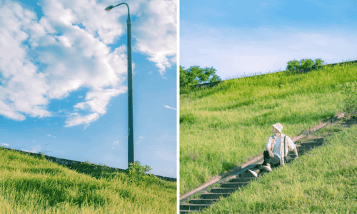 Chìm Đắm Trong Vẻ Đẹp Thơ Mộng Của Con Đê Ngọc Thuỵ Hà Nội