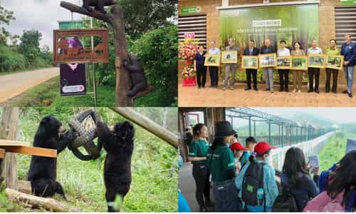 Hành Trình Gặp Những Chú Gấu Được Giải Cứu Tại Cơ Sở Bảo Tồn Gấu Ninh Bình