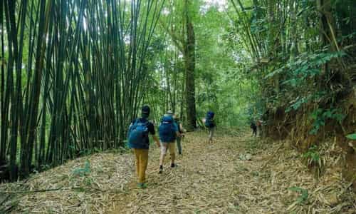 Trekking Giữa Thiên Nhiên Hoang Sơ Tại Vườn Quốc Gia Bù Gia Mập