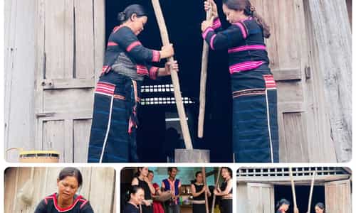 NHỮNG NHỊP CHÀY GIÃ GẠO