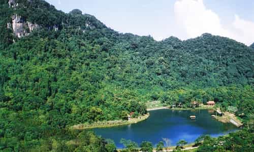 Rừng quốc gia Cúc Phương