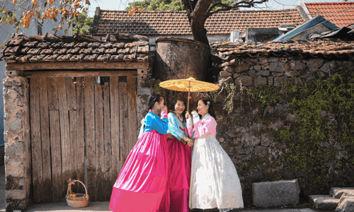 Cây Hồng Cổ: Điểm Đến Mới Trong Các Tour Du Lịch Cố Đô Ninh Bình