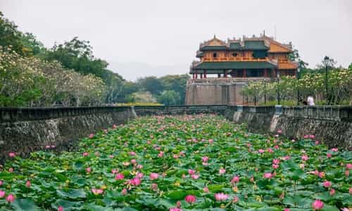Discovering Tinh Tam Lake: A Tranquil Escape in Historic Hue