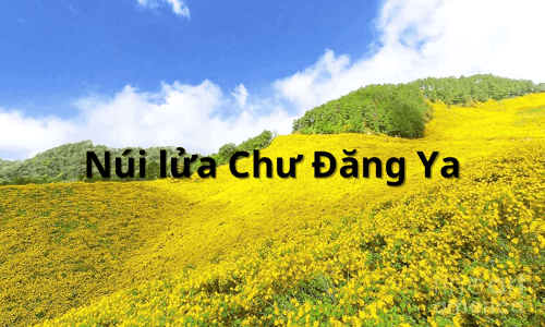 Núi lửa Chư Đăng Ya - thiên đường hoa dã quỳ