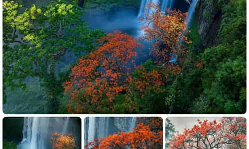 VẺ ĐẸP CỦA THÁC HANG ÉN VÀO MÙA HOA NGÔ ĐỒNG