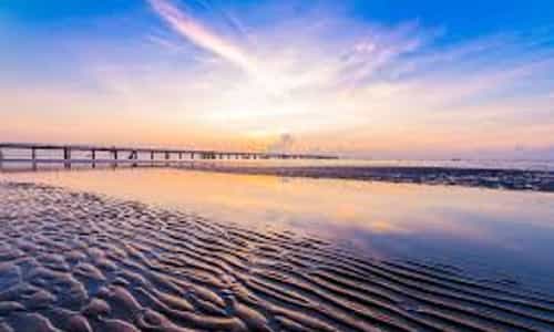 Biển Tân Thành Gò Công : “Thiên đường” của những loại hải sản tươi ngon