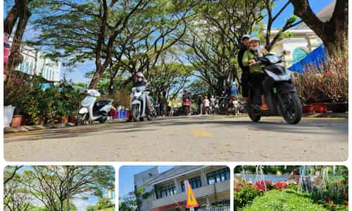 CHỢ HOA Ở THỊ XÃ AN KHÊ VÀO DỊP TẾT