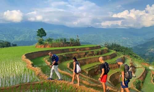 Hoàng Su Phì - Địa điểm lý tưởng cho chuyến du lịch trekking