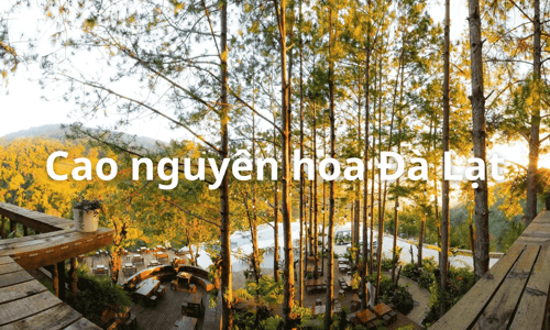 Cao nguyên hoa Đà Lạt - nơi ru ngủ các nàng tiên hoa