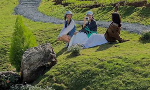 The Wilder Nest - sự trở lại đầy mạnh mẽ thật đáng mong chờ