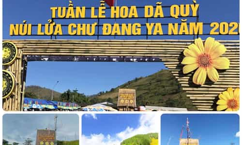 HÒA MÌNH VÀO LỄ HỘI HOA DÃ QUỲ - NÚI LỬA CHƯ ĐĂNG
