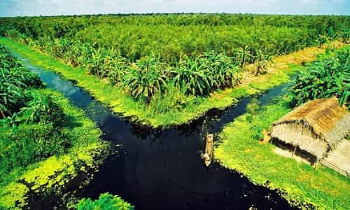 Khám phá vẻ đẹp di sản Vườn Quốc Gia U Minh Thượng