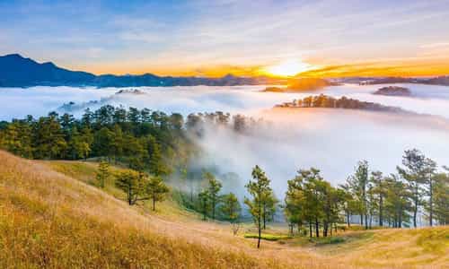 Thung lũng vàng Đà lạt- chốn bồng lai tiên cảnh