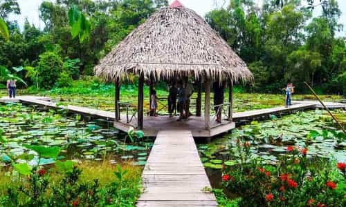 LẠC VÀO BẢN HÙNG CA CỦA KHU DI TÍCH XẺO QUÝT