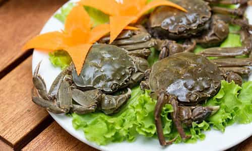 Điều Gì Làm Cà Ra Ba Chẽ Trở Thành Món Đặc Sản Nổi Bật Của Quảng Ninh?