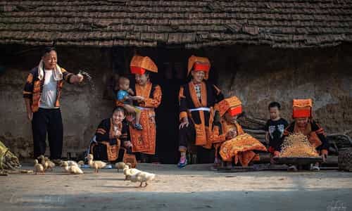 Hòa Mình Vào Không Gian Văn Hóa Sống Động Tại Làng Văn Hóa Dân Tộc Dao Sơn Hải