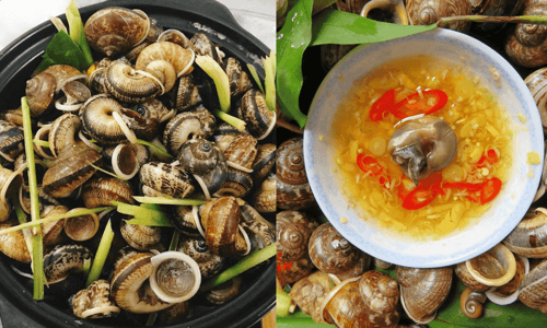 Thưởng Thức Món Ốc Núi Hoành Bồ – Đậm Đà Hương Vị Núi Rừng