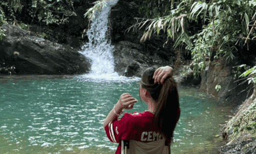 Chìm Đắm Trong Vẻ Đẹp Tự Nhiên Của Suối Thác Cổ Ngựa Ở Hạ Long