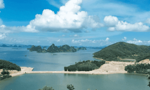 Đảo Thẻ Vàng – Bức Tranh Thiên Nhiên Giữa Biển Trời Quảng Ninh